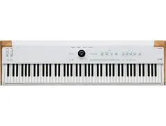Arturia AstroLab 88 Stage Keyboard