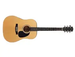 Squier SA-110 Acoustic Guitar main image