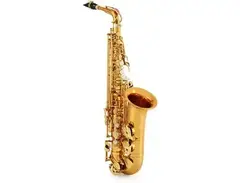 Selmer Paris 92 Supreme Professional Alto Saxophone main image