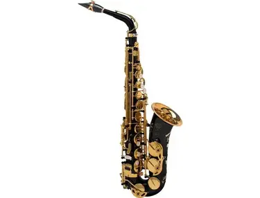 Selmer Paris 82 Signature Series Professional Alto Saxophone