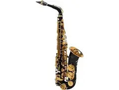 Selmer Paris 82 Signature Series Professional Alto Saxophone main image