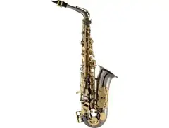 Selmer SAS511 Intermediate Alto Saxophone