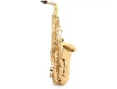 Yanagisawa A-WO1 Professional Alto Saxophone