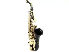 Jupiter JAS1100GOQ Alto Saxophone main image
