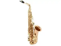 Yanagisawa AWO2 Professional Alto Saxophone