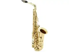 Selmer SAS711 Professional Alto Saxophone