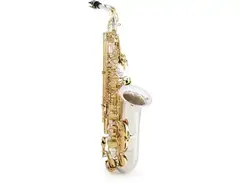 Jupiter JAS1100SG Alto Saxophone main image