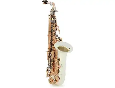 Sax Dakota SDA-XG-404 XG Series Alto Saxophone
