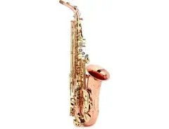 Buffet Crampon Senzo Professional Alto Saxophone main image