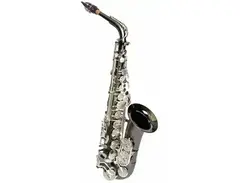 Sax Dakota SDA-XL-120 XL Series Alto Saxophone main image