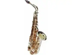 Sax Dakota SDA-XL-110 XL Series Alto Saxophone main image