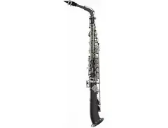 Sax Dakota SDAS-1020 Straight Body Alto Saxophone main image