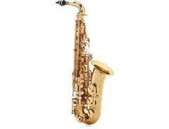 P. Mauriat Master 97 Professional Alto Saxophone main image