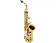 Eastman EAS650 Rue Saint-George Alto Saxophone