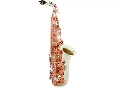 Victory Musical Instruments Revelation Series Special Edition Professional Alto Saxophone