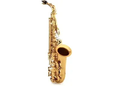 Victory Musical Instruments Revelation Series Professional Alto Saxophone