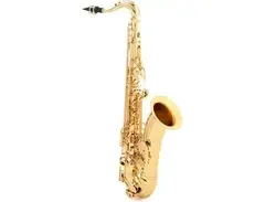 Yamaha YTS-62 III Professional Tenor Saxophone main image
