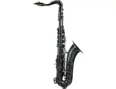 Selmer Paris 94 Supreme Professional Tenor Saxophone main image