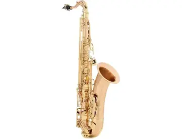 Yanagisawa T-WO20 Elite Professional Tenor Saxophone