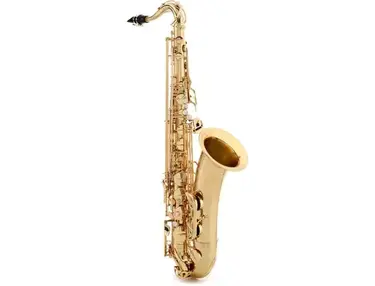 Yanagisawa T-WO1 Professional Tenor Saxophone
