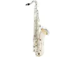 Victory Musical Instruments Triumph Series Student Tenor Saxophone