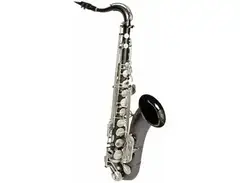 Sax Dakota SDT-XL-220 XL Series Tenor Saxophone main image