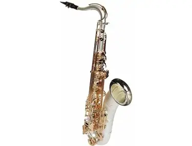 Sax Dakota SDT-XL-210 XL Series Tenor Saxophone