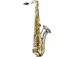 Yanagisawa T-WO37 Silver Sonic Elite Professional Tenor Saxophone main image