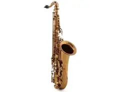 Rampone & Cazzani Performance Series Professional Tenor Saxophone main image