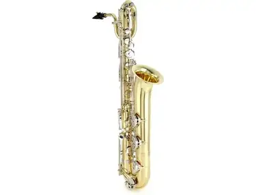 Eastman EBS251 Low Bb Baritone Saxophone
