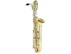 Eastman EBS251 Low Bb Baritone Saxophone