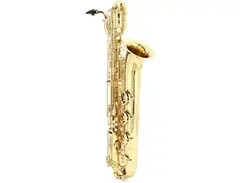 Eastman EBS650 Rue Saint Georges Professional Baritone Saxophone main image