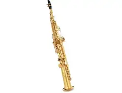 Victory Musical Instruments Triumph Series Student Soprano Saxophone main image