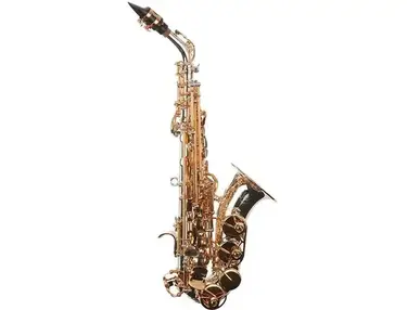 Sax Dakota SDSC-909 Curved Soprano Saxophone