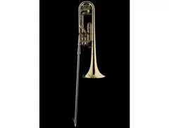 Schagerl Superbone main image