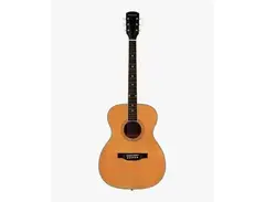 Orangewood Oliver Live main image