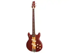 Vantage VP-710B Witch Bass main image