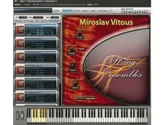 Big Fish Audio Miroslav Vitous String Ensemble main image