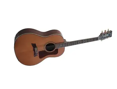 Framus FDG-20 S