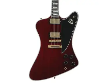 Gibson Custom Dealer Select Firebird Custom Electric Guitar