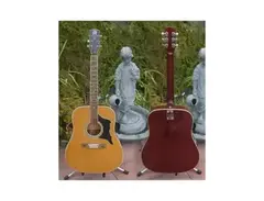 E-Ros Dakota 606 Acoustic Guitar