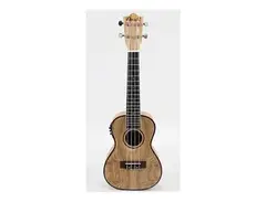 Amahi UK880 Classic Concert Ukulele with Electronics main image