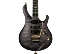 PRS Chleo Herman Li Signature Electric Guitar - What To Know