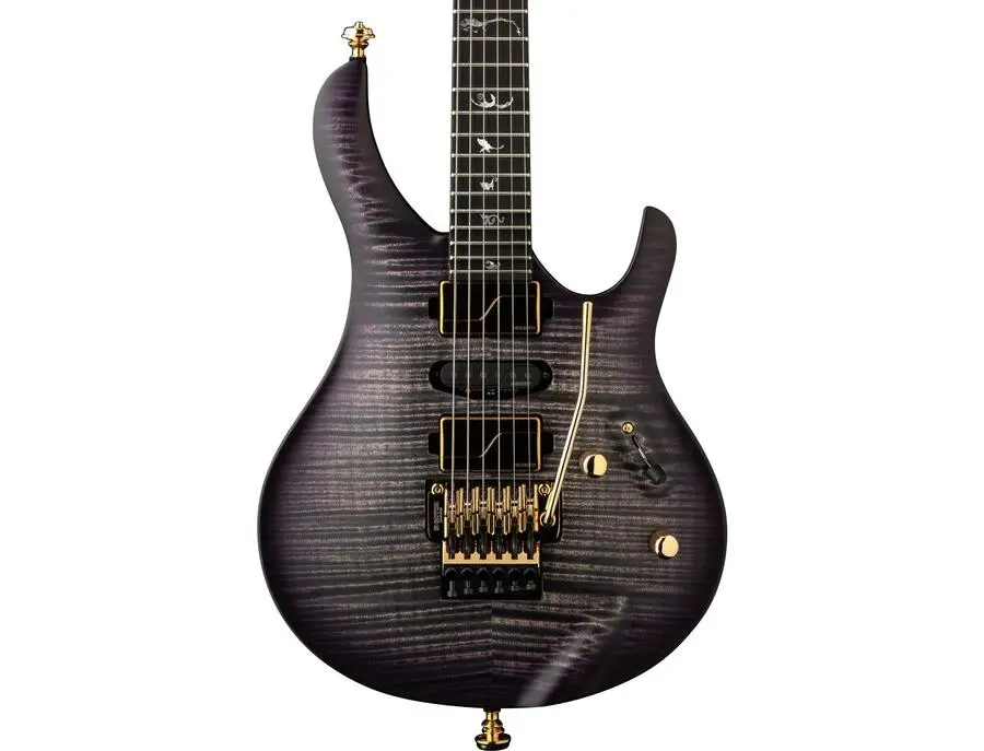 PRS Chleo Herman Li Signature Electric Guitar - What To Know