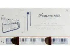 Somerville Sounds Gentle Vibes main image