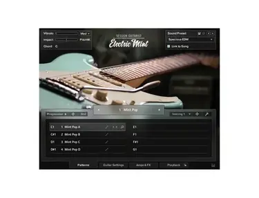 Native Instruments Session Guitarist - Electric Mint