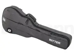 Ritter Bern 335 Guitar ANT main image