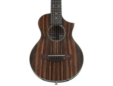 Ibanez EWP13 Acoustic Guitar