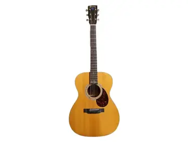 Martin PS2 Paul Simon