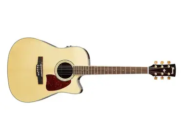 Ibanez AW800-ece-nt
